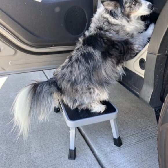 Height-Adjustable 7"- 9" Folding Step Stool with Non-Slip Platform 10" x 15" - Picture 2 of 3